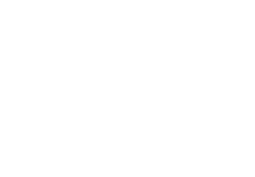The Bubble Company